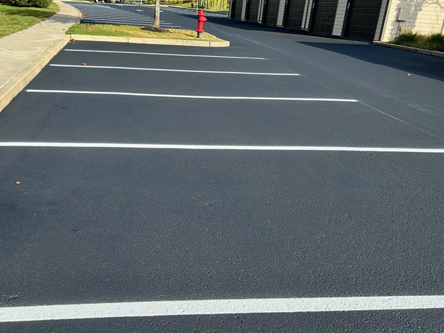 Line Striping White Paint Asphalt Parking Lot