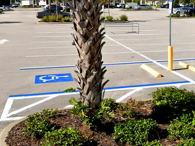 Handicap Stall Striping Bonita Springs, FL