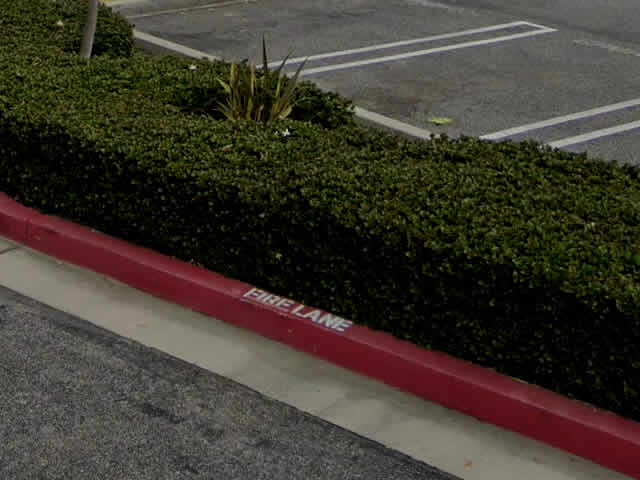 Fire Lane Striping Pacific Palisades, CA